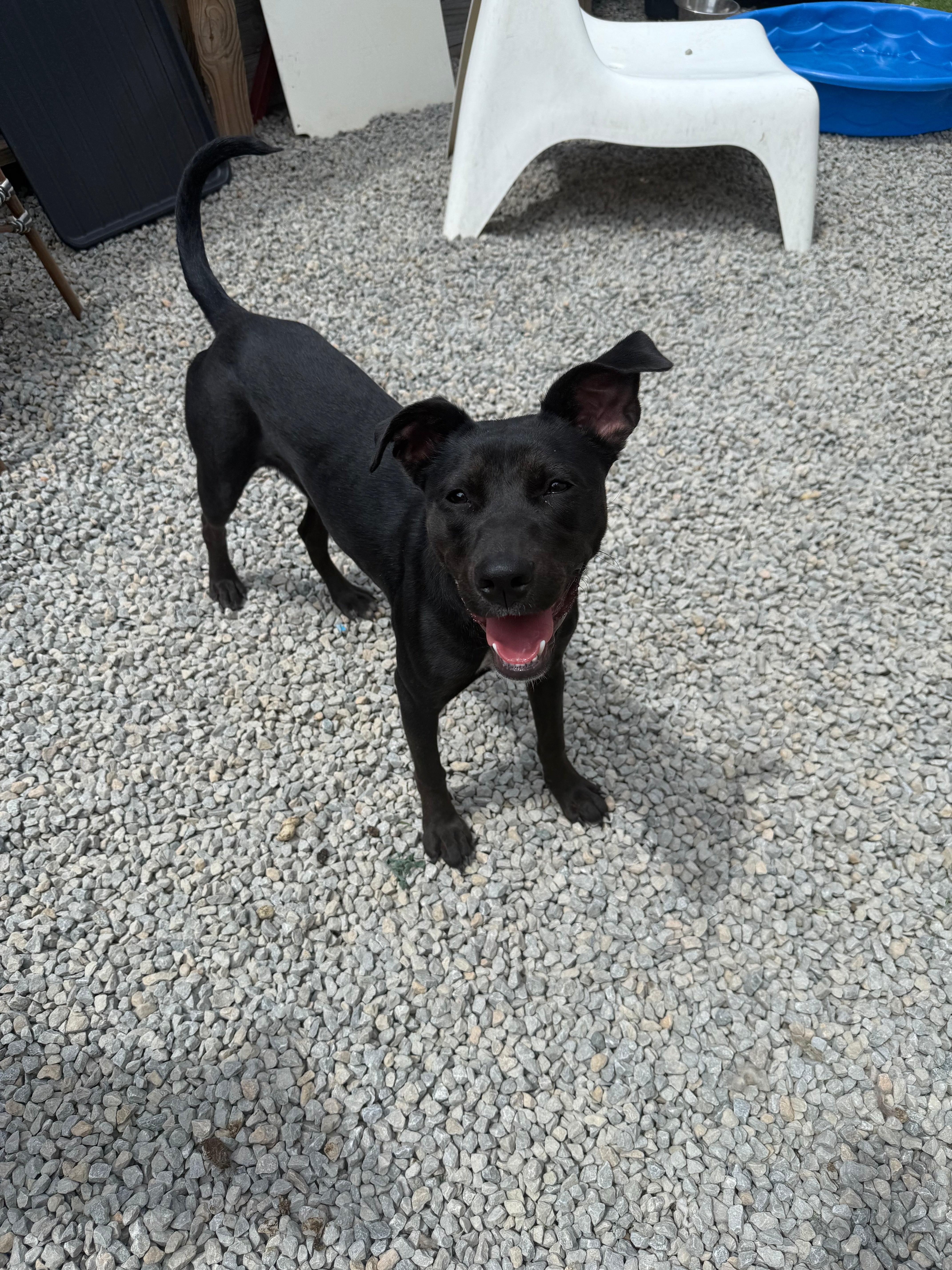 Mya - Has Been Adopted!