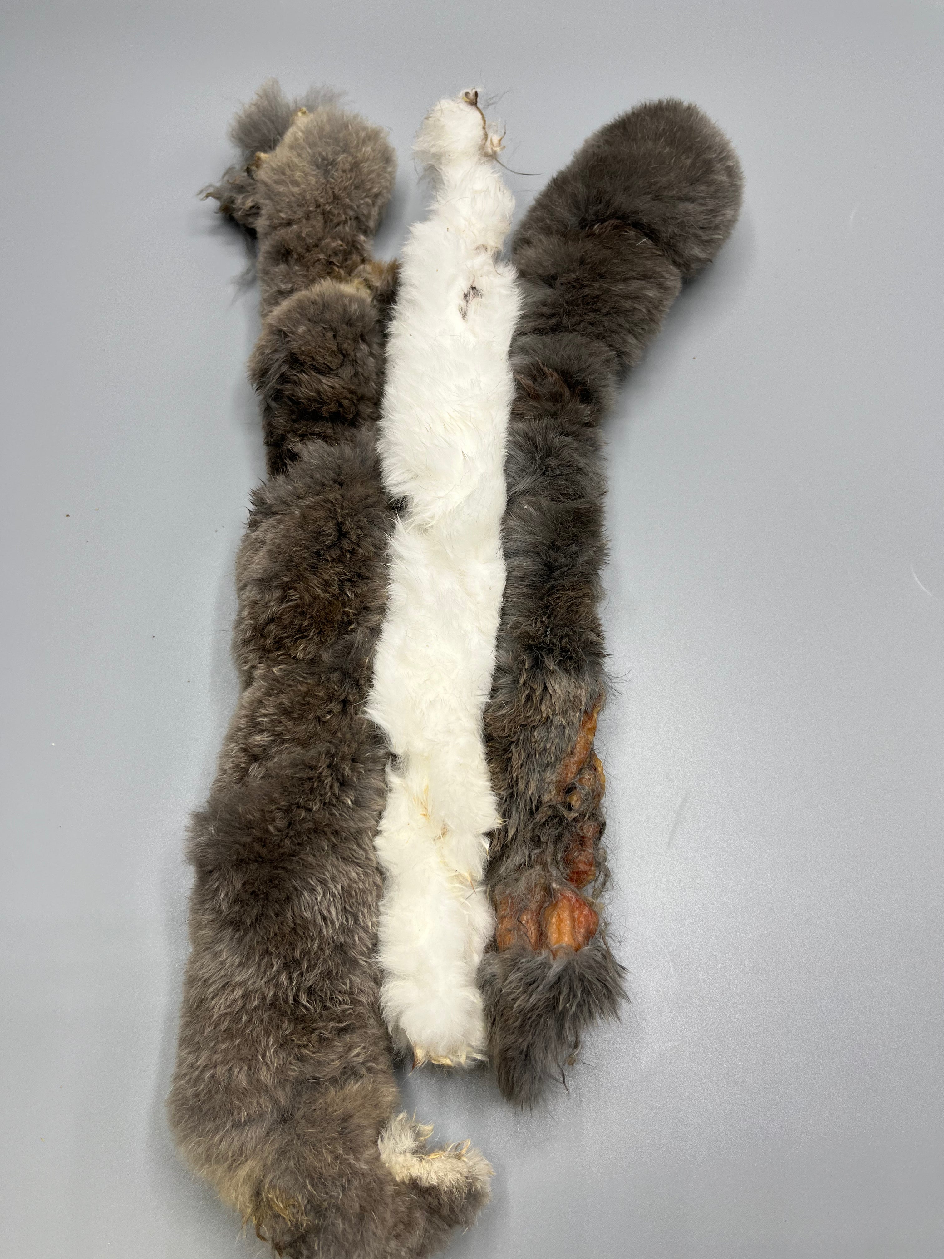 Grey Rabbit Hide Rabbit hide