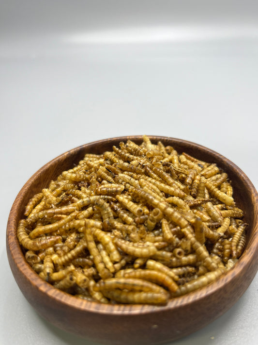 Dehydrated Meal Worms